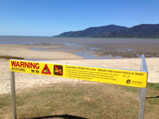 australia crocodile