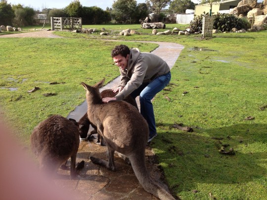 kangaroo hug australia