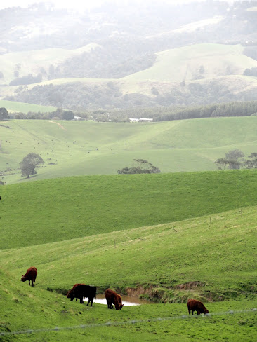 Australia pretty road trip