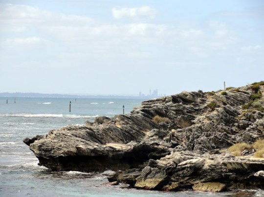 Rottnest Island Australia