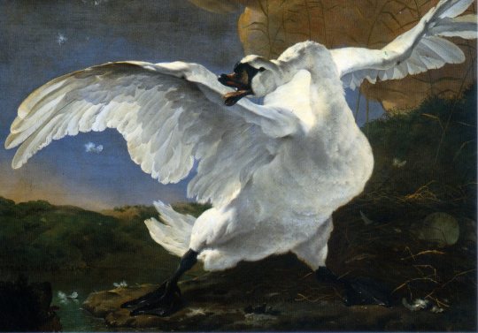 Ellen DeGeneres postcard