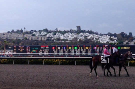 Del Mar California 4