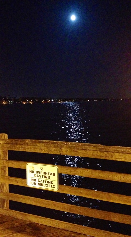 Oceanside California 1