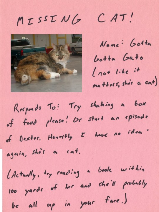 Missing Cat Poster