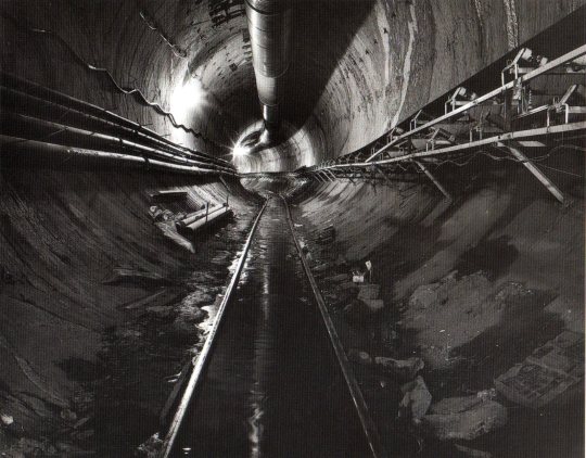 Ellen DeGeneres postcard