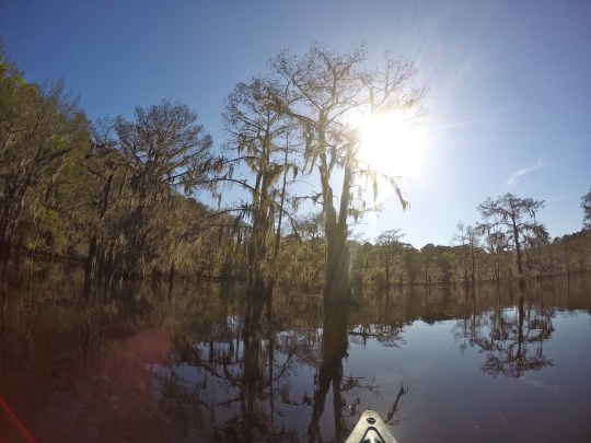 Caddo Lake State Park