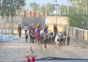 Approaching the farm where our elephant ride happened.