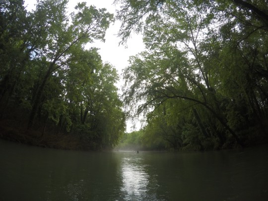 The mist hanging out on Saturday morning was amazing.