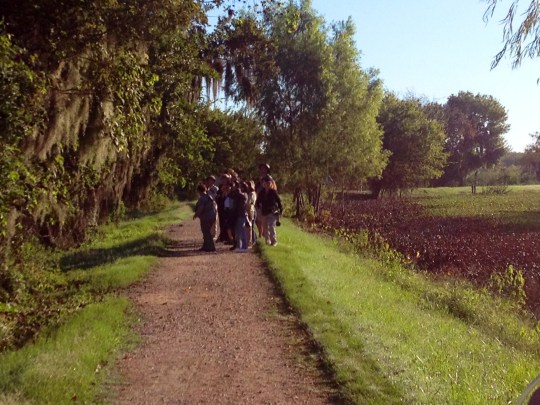 Brazos Bend State Park