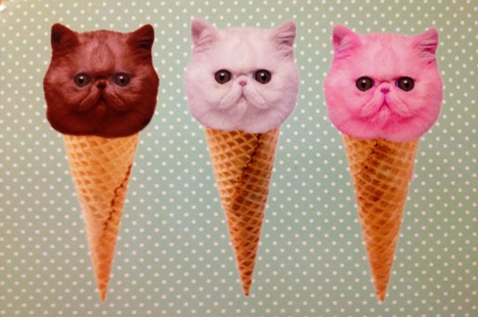 Ellen DeGeneres postcard