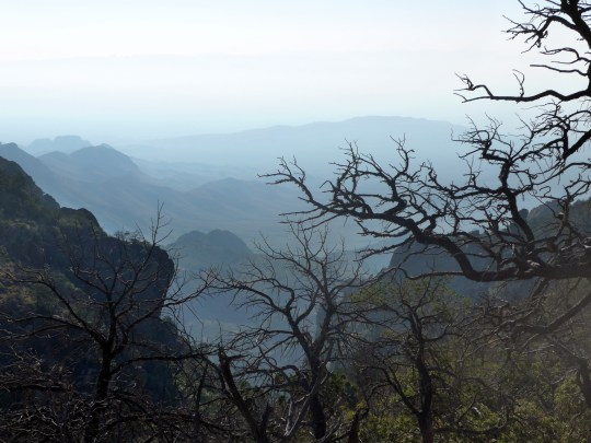 Big Bend National Park