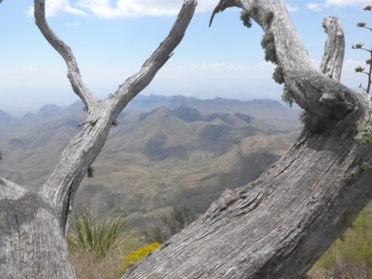 Big Bend National Park