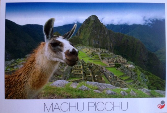 Ellen DeGeneres postcard