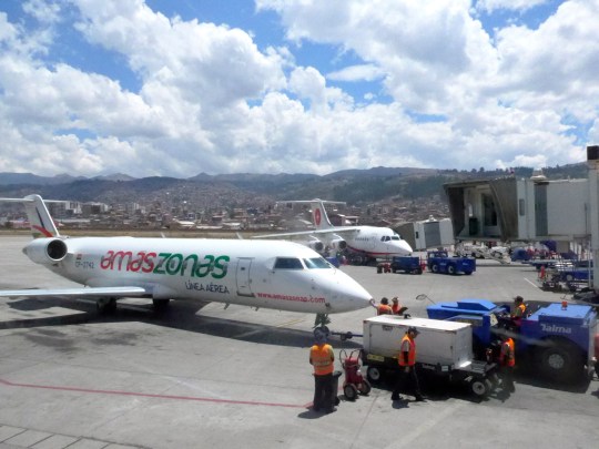 The planes came in regular and adorable size.