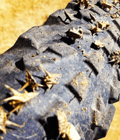 screenshot2013-06-09at8-56-58am