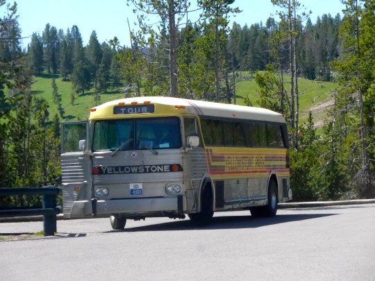 Yellowstone 9