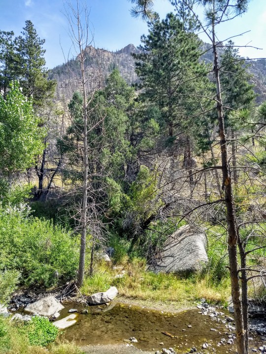 IMG_20180902_112946994_HDR