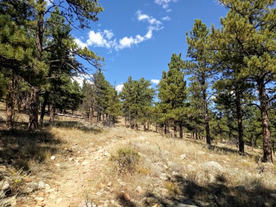 IMG_20180909_120625348